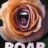 Roar : 1.Sezon 6.Bölüm izle