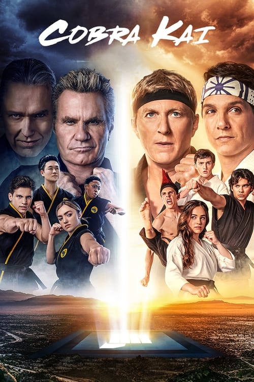 Cobra Kai : 1.Sezon 7.Bölüm