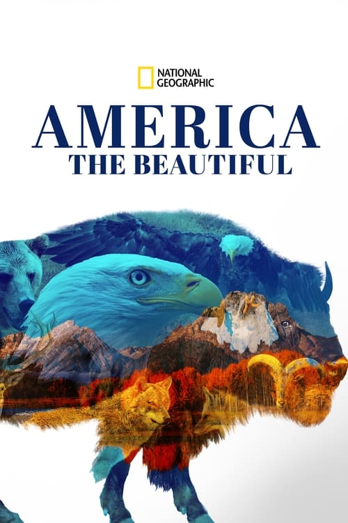 America the Beautiful : 1.Sezon 6.Bölüm