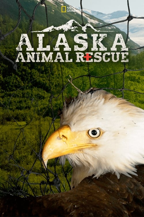 Alaska Animal Rescue : 1.Sezon 2.Bölüm