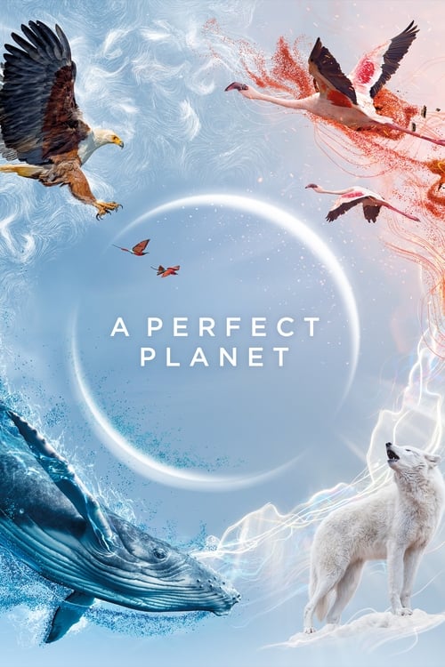 A Perfect Planet : 1.Sezon 1.Bölüm