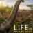 Life on Our Planet : 1.Sezon 5.Bölüm izle