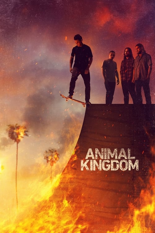 Animal Kingdom : 3.Sezon 11.Bölüm