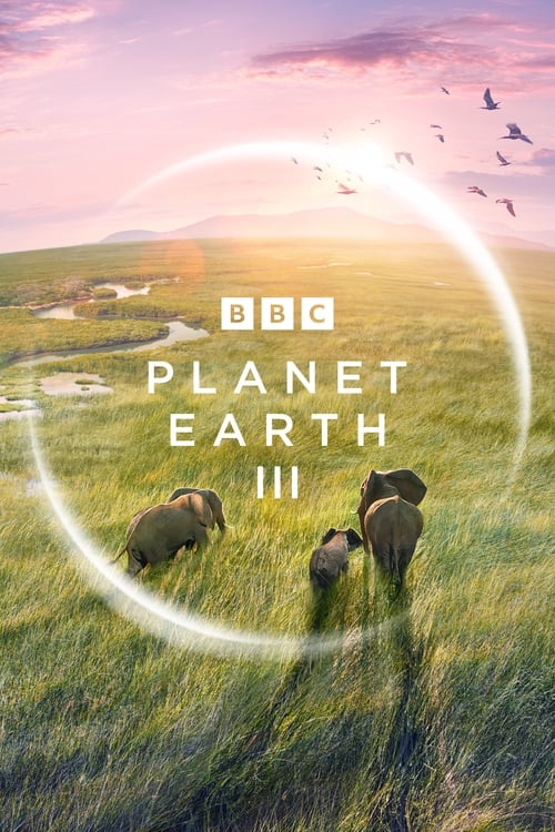 Planet Earth III : 1.Sezon 7.Bölüm