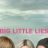 Big Little Lies : 1.Sezon 4.Bölüm izle