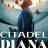 Citadel Diana : 1.Sezon 4.Bölüm izle